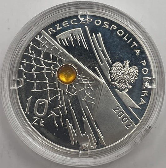 Moneta 10 zł MŚ Korea-Japonia bursztyn 2002 r.