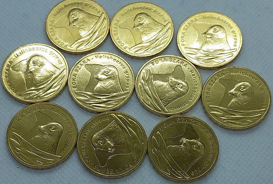 Moneta 2 zł Foka szara 2007