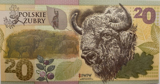 Polskie Żubry PWPW 2019 r. banknot testowy