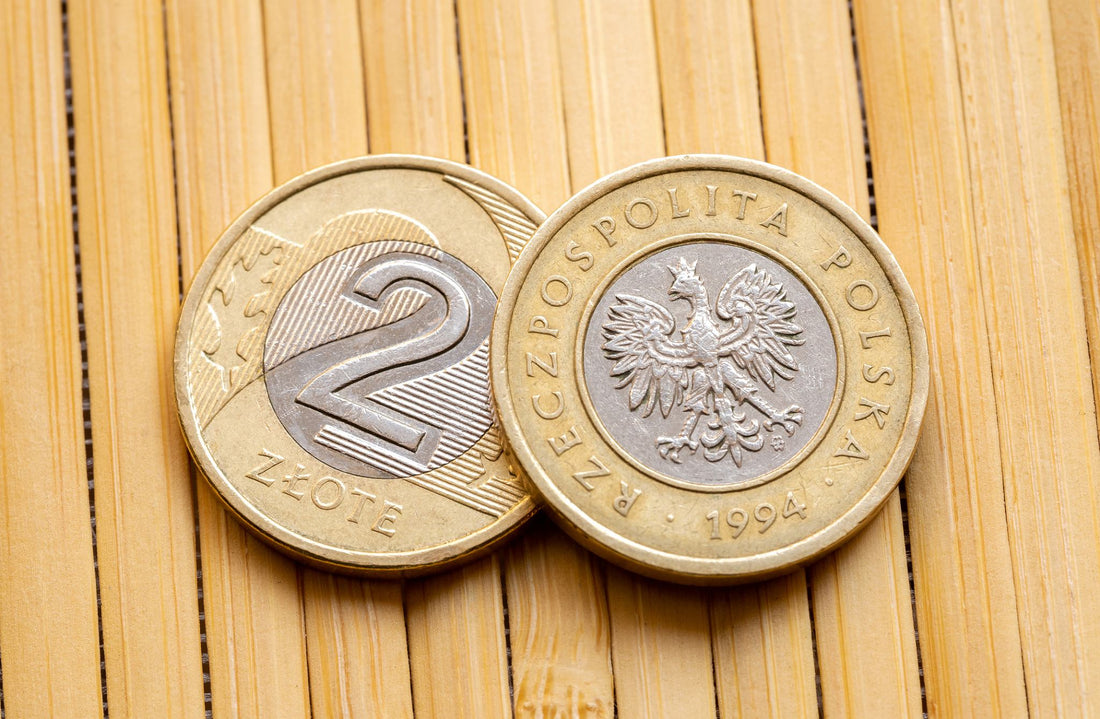 Poszukiwane 2 złote: Numizmatyczny fenomen Nordic Gold